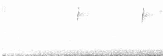 White-eyed Vireo - ML609358264