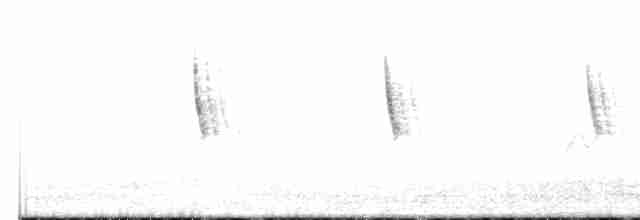 Бруант рудошиїй (підвид australis) - ML609362735