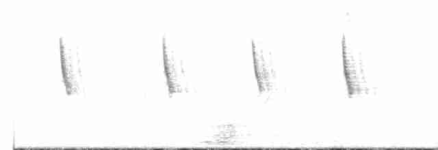 Бруант рудошиїй (підвид australis) - ML609362736
