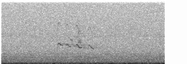 Kuliska hankahori handia - ML609364152