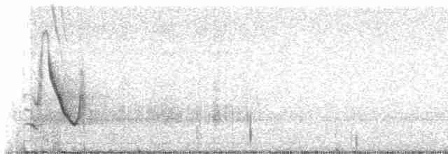Weißstirnvireo (notius/montanus) - ML609373976