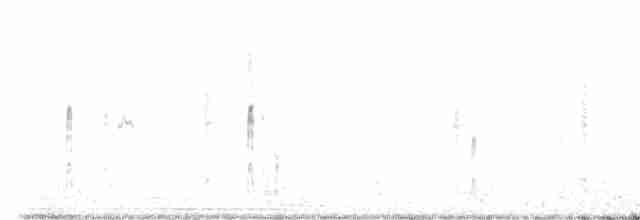 Red-necked Phalarope - ML609374775