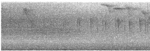 Vencejo de Chimenea - ML609375158