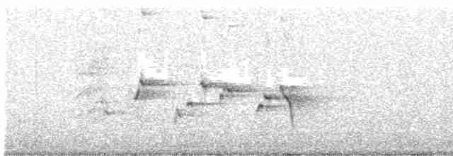 gallaviftestjert - ML609376299