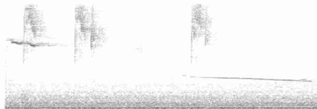Black-eared Cuckoo - ML609378487