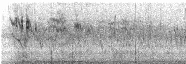 Hirondelle bicolore - ML609380712