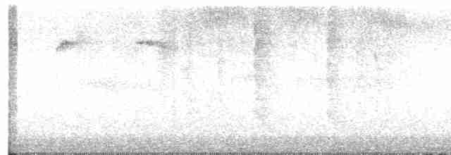 Colibri roux - ML609381039
