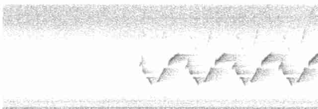 Каролинский крапивник - ML609381577