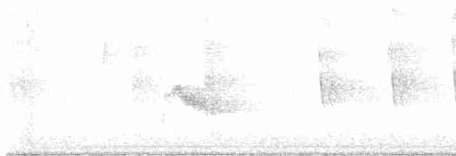 Gri Yanaklı Bülbül Ardıcı - ML609383096