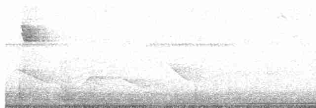 Татаупа сіроголовий - ML609383501