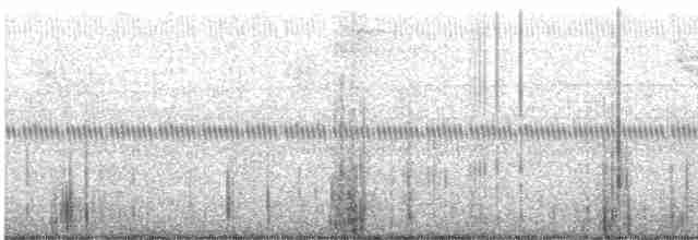White-throated Sparrow - ML609386986