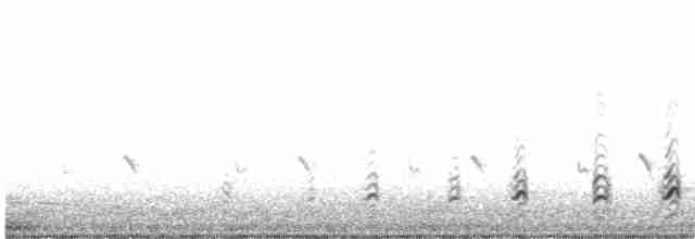 Magellanic Snipe - ML609403395