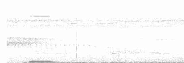 Weißkehl-Ameisenvogel - ML609405554