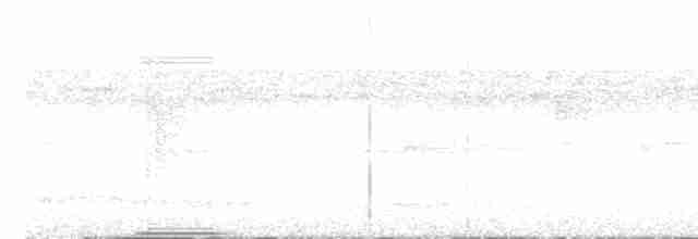 Weißkehl-Ameisenvogel - ML609405560