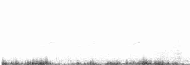 Длинноногая тиркушка - ML609409409
