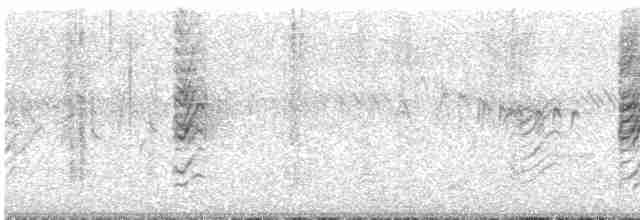 Eastern Orphean Warbler - ML609415012