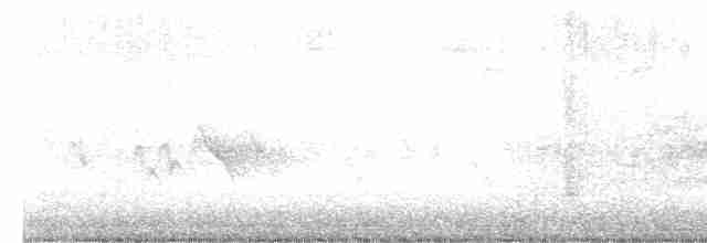 Evening Grosbeak (type 1) - ML609419218