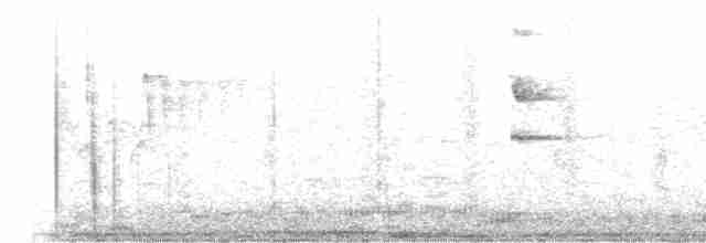Bluish-gray Saltator - ML609430590
