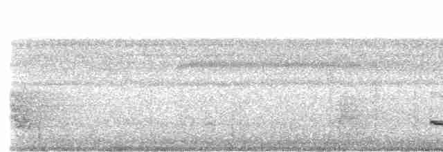 Weißschulter-Ameisenvogel - ML609436250