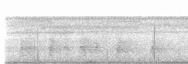 Weißschulter-Ameisenvogel - ML609436252