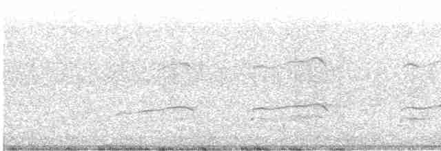 Скопа західна (підвид cristatus) - ML609438097