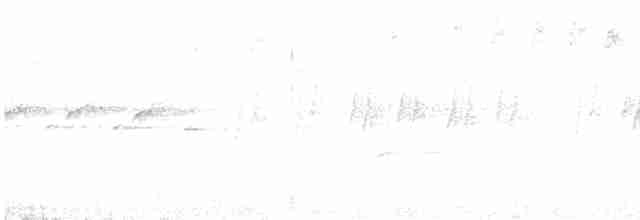 Медолюб-шилодзьоб східний - ML609438764