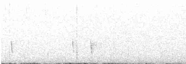 White-streaked Honeyeater - ML609440206