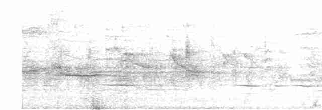 Al Kanatlı Karatavuk (californicus/mailliardorum) - ML609445422