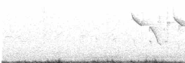 Acanthize à croupion roux - ML609447526