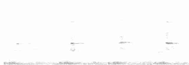 Rascón de Lord Howe - ML609449632