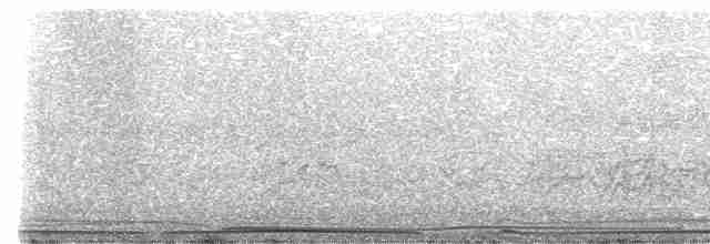 Wedge-tailed Shearwater - ML609449699