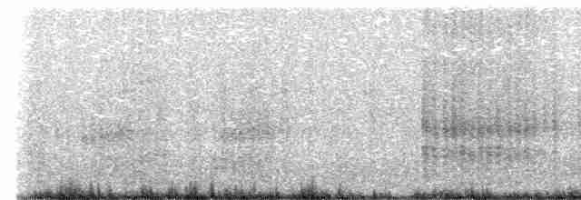 黑玄燕鷗 - ML609449748