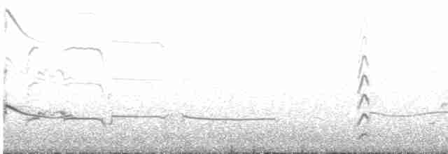 Канадский веретенник - ML609451217