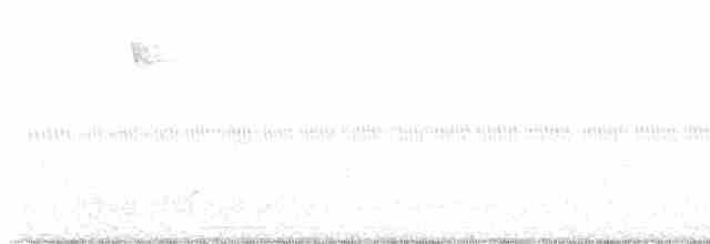 Дрізд-короткодзьоб Cвенсона - ML609452583