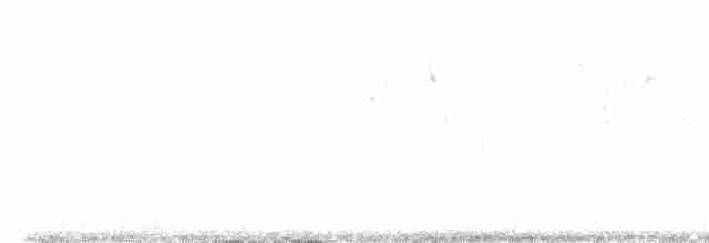 Малая воробьиная овсянка - ML609453608