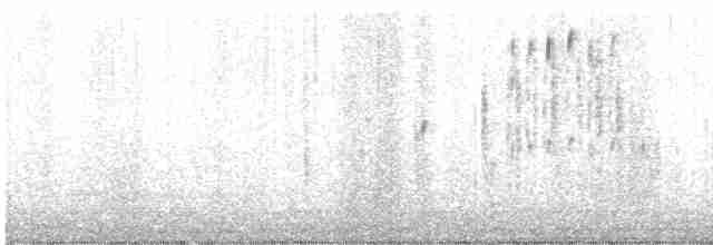 Troglodyte des marais - ML609460014