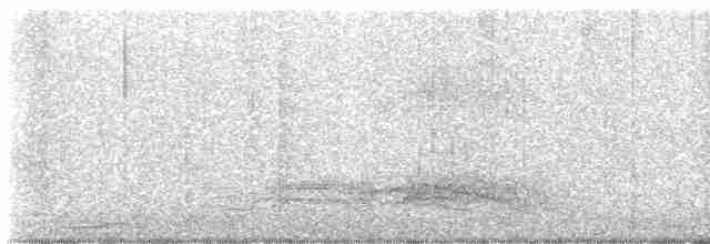Spotted Catbird - ML609461374