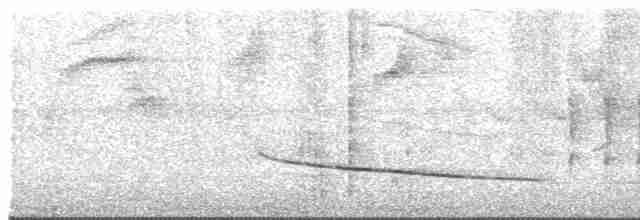 Зернолуск чорнокрилий - ML609464036
