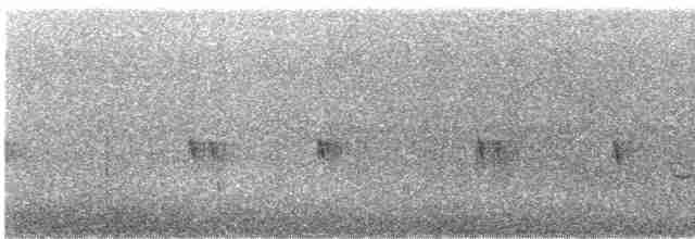 Поплітник каролінський - ML609465539
