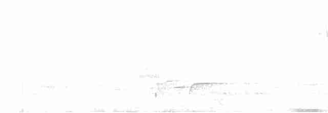 Gray-breasted Wood-Wren (Choco) - ML609466904