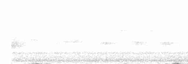 Гребенечуб андійський - ML609467778