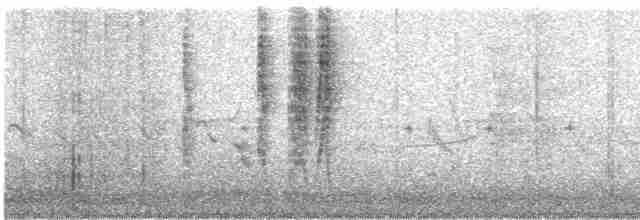 Голосистый тугайный соловей - ML609471959