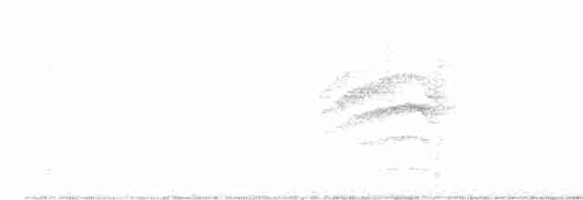 Turuncu Gagalı Bülbül Ardıcı - ML609477138
