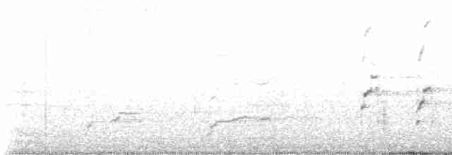 Белоголовый орлан - ML609477366