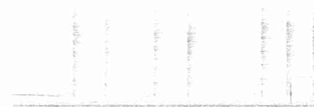 Troglodyte rufalbin - ML609477524