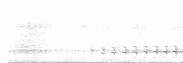 Barred Antshrike - ML609477606