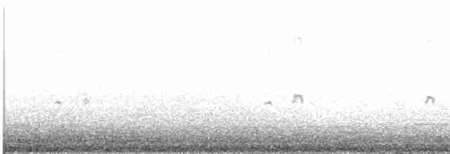 Гологлазая земляная горлица - ML609477637