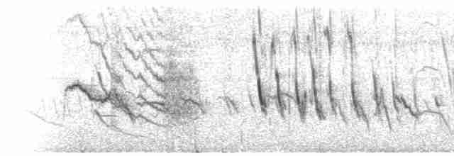 rørspurv - ML609485405