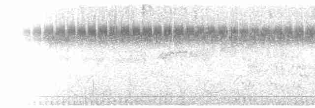 Spot-tailed Nightjar - ML609485469
