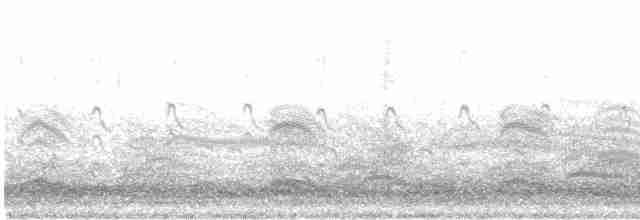 Сероголовая чайка - ML609486208